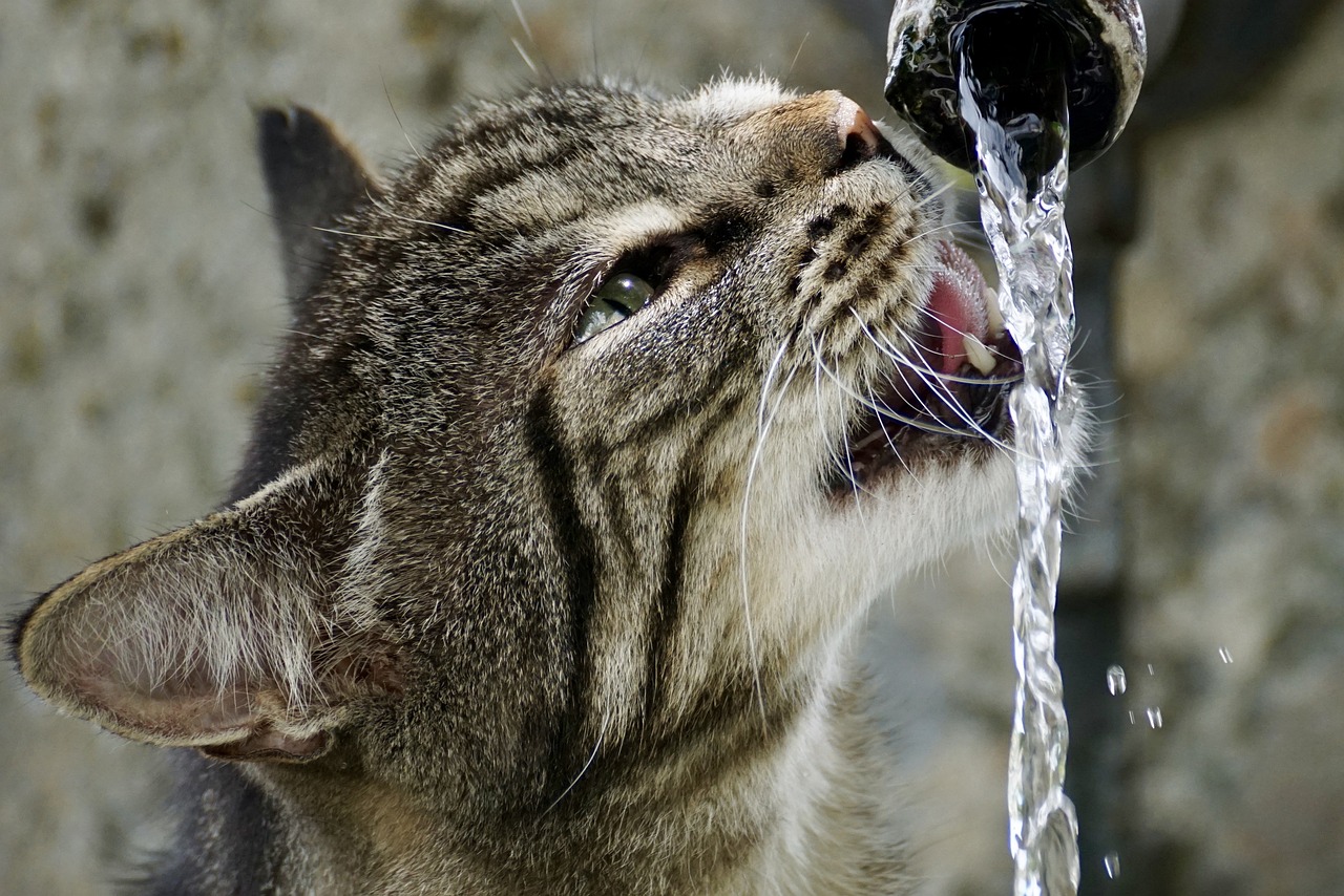 How to Build a DIY Garden Fountain